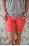 PDJ Shorts